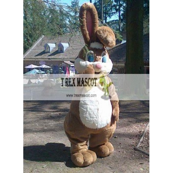 Easter Bunny Rabbit Mascot Costume for Adult