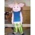 Pink Pig Mascot Costume for Adult