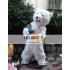 Polar Bear Mascot Costume for Adult