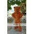 Grizzy Bear Mascot Costume for Adult