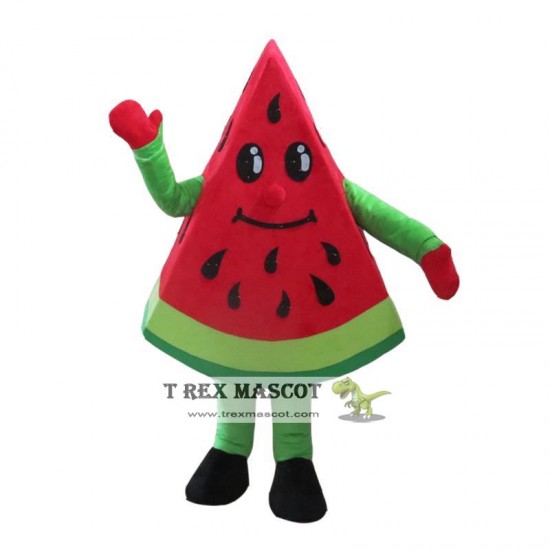 Fruit Watermelon Mascot Costume for Adult