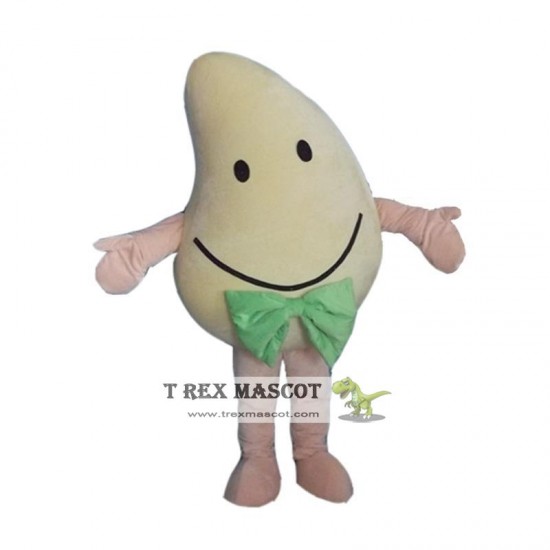 Fruit Mango Mascot Costume for Adult