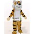 Racoon Mascot Costume for Adult