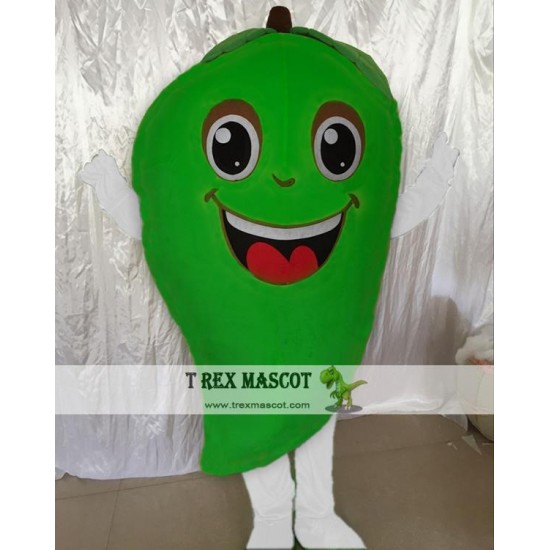 Mango Fruit Mascot Costume for Adult