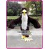 Plush Eagle Hawk Falcon Mascot Costume for Adult