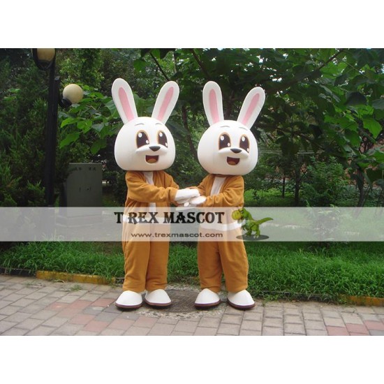 Rabbit Mascot Costume