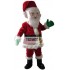 Santa Claus Mascot Costume