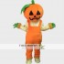 Pumpkin halloween Mascot Costume