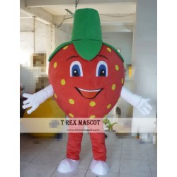 Strawberry Fruit Mascot Costume