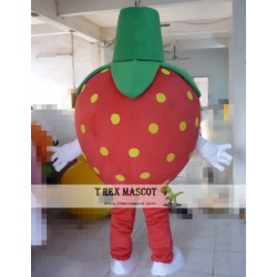 Strawberry Fruit Mascot Costume