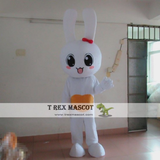 Rabbit Cartoon Mascot Costume