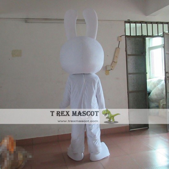 Rabbit Cartoon Mascot Costume