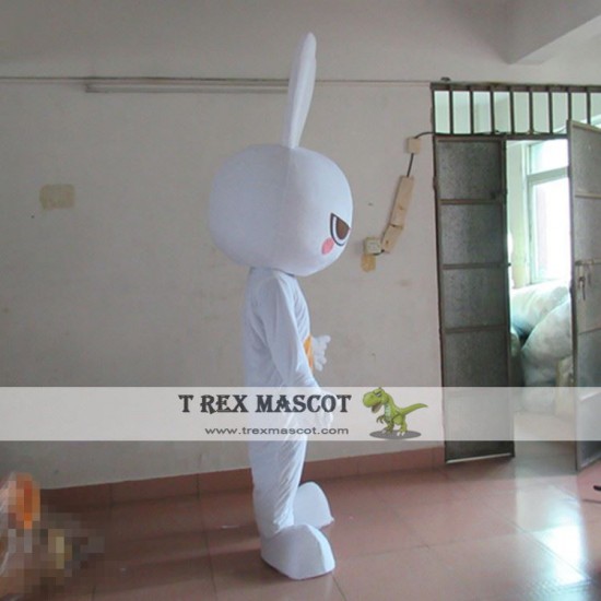 Rabbit Cartoon Mascot Costume