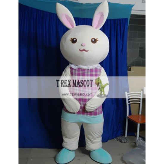 Rabbit Mascot Costume