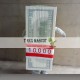 Money Dollars Mascot Costume