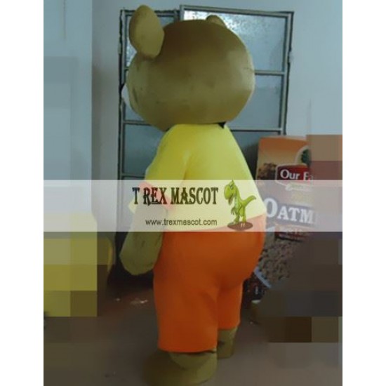 Brown Bear Animal Mascot Costume