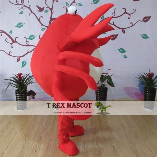 Crab Sea Animal Mascot Costume