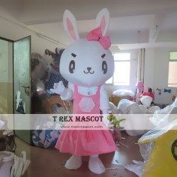 Rabbit Boy Mascot Costume