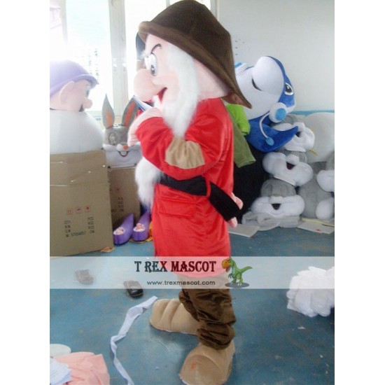 Fairy Dwarf Mascot Costume