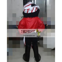 Pirate Mascot Costume