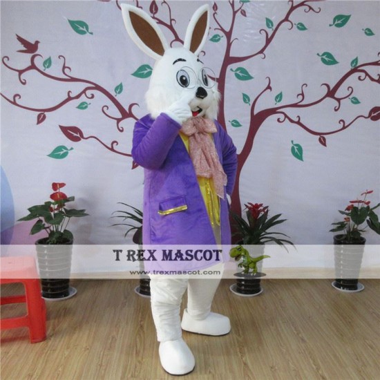 Easter Bunny Mascot Costume