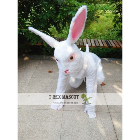 Realistic Rabbit Animal Mascot Costume