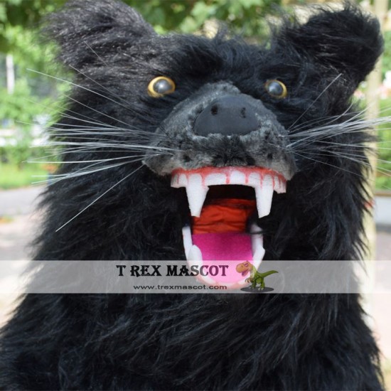 Black Bear Mascot Costume