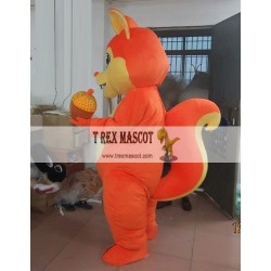 Squirrel Mascot Costume