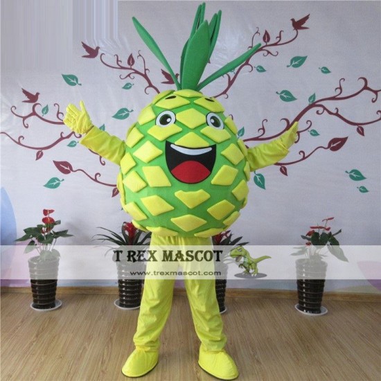 Pineapple Mascot Costume