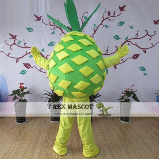 Pineapple Mascot Costume