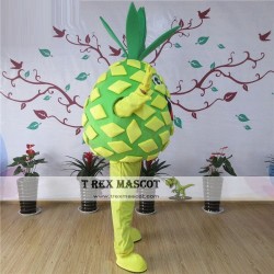 Pineapple Mascot Costume