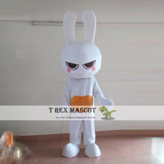 Rabbit Cartoon Mascot Costume