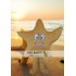 Starfish Sea Animal Mascot Costume