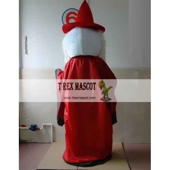 Mage Fairy Grandpa Mascot Costume