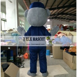 Teddy Bear Mascot Costume