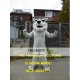 Grey Husky Dog Mascot Costume for Adult