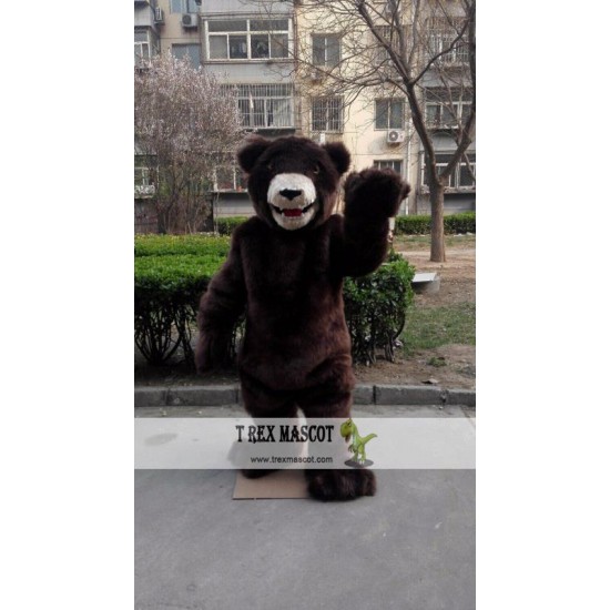 Bear Mascot Costume for Adult