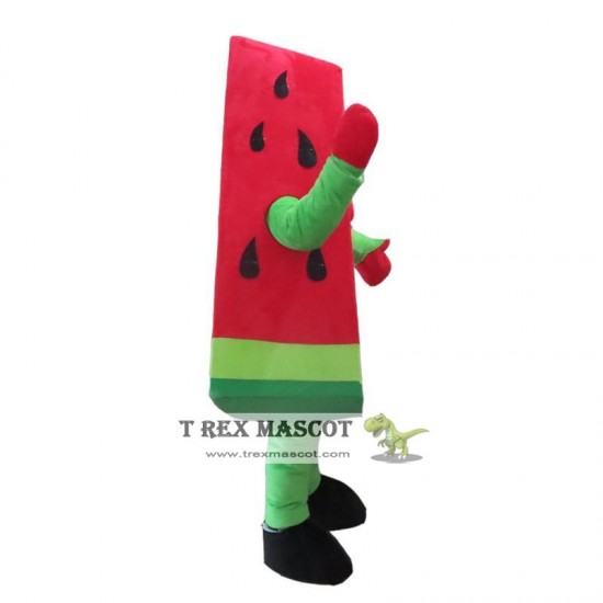 Fruit Watermelon Mascot Costume for Adult