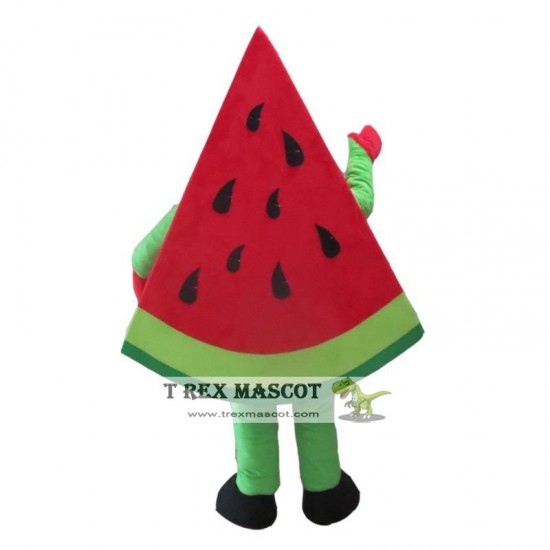 Fruit Watermelon Mascot Costume for Adult