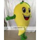 Mango Fruit Mascot Costume for Adult