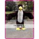 Plush Eagle Hawk Falcon Mascot Costume for Adult