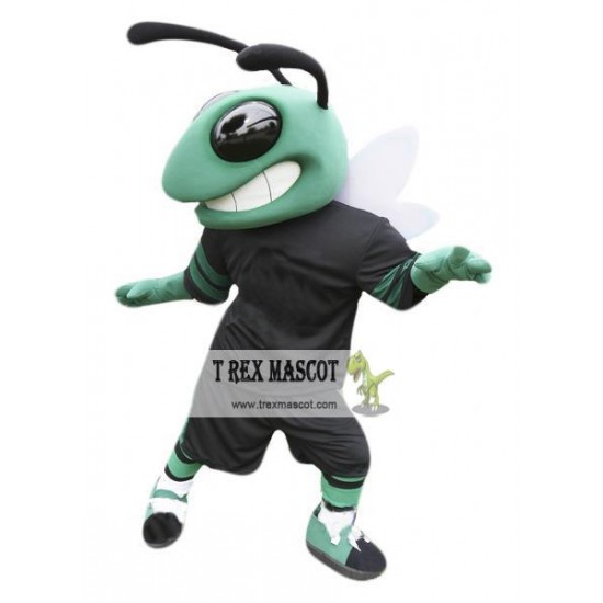 Green Sport Hornet Mascot Costume