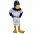 Spokane Riverhawk Mascot Costume