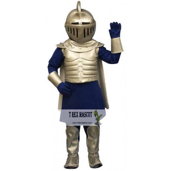 Silver Knight Mascot Costume