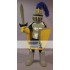 Yellow & Golden Knight Mascot Costume