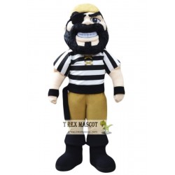 Pirate Mascot Costume