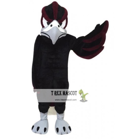 School Falcon Mascot Costume