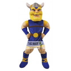 Viking Mascot Costume