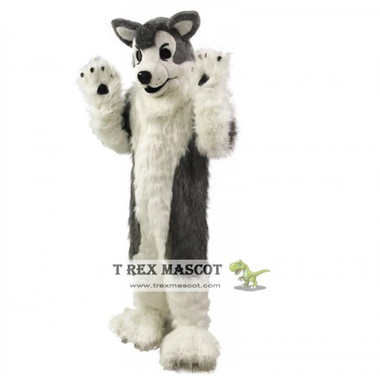 Gray Wolf Husky Dog Mascot Costumes