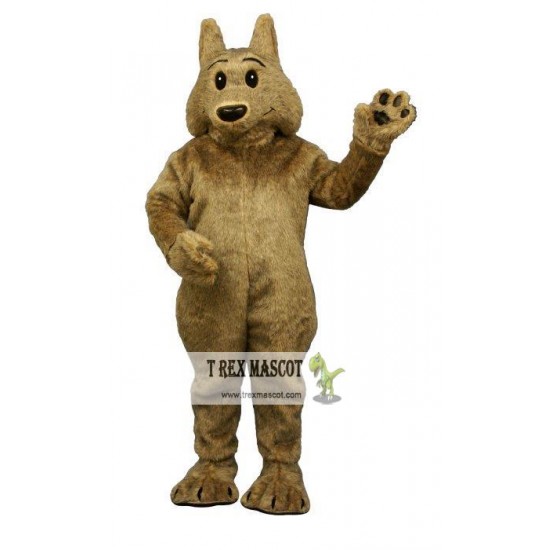 Kyle Koyote Mascot Costume